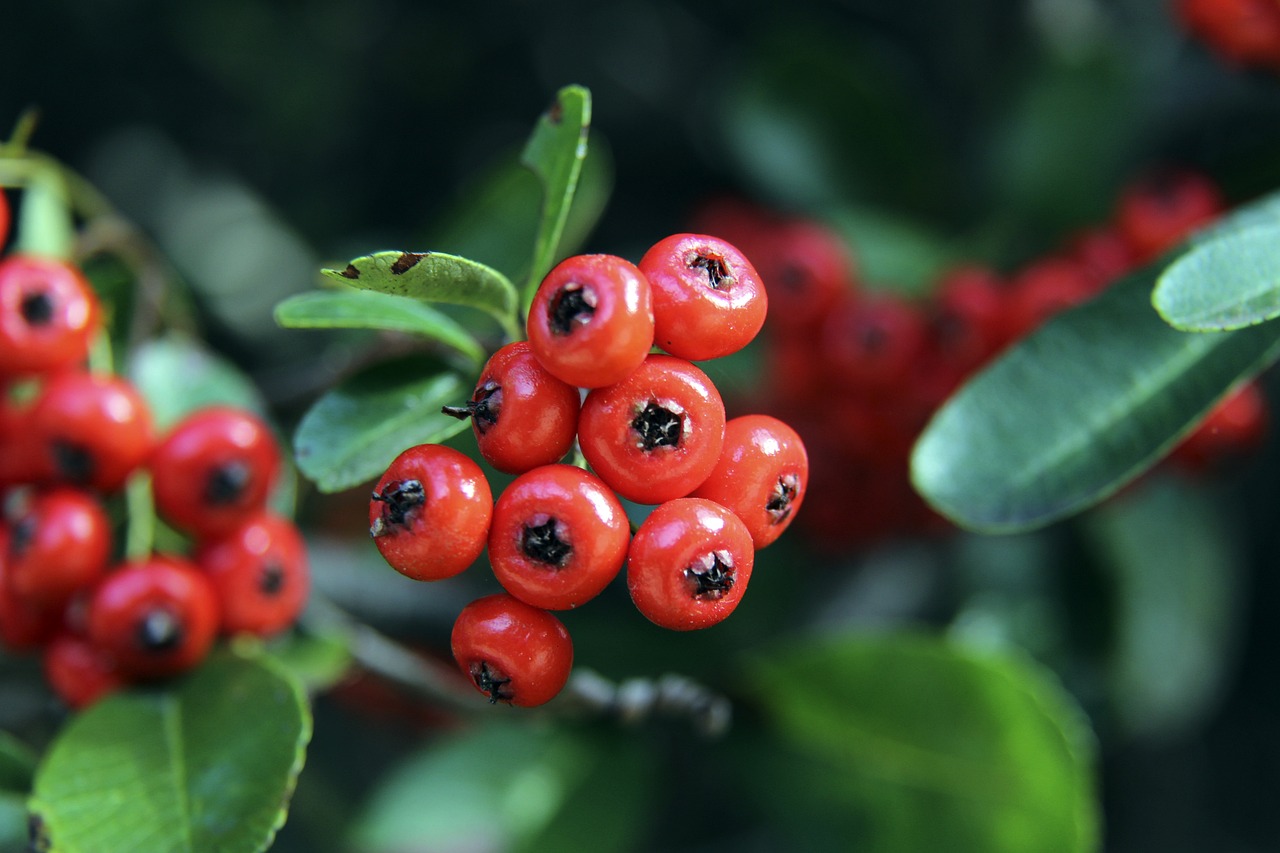 使得全队重 使得全队重