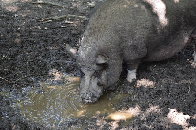 不懼困難的 不懼困難的